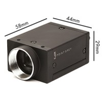 GRASSHOPPER Express Quad-Tap CCD Camera